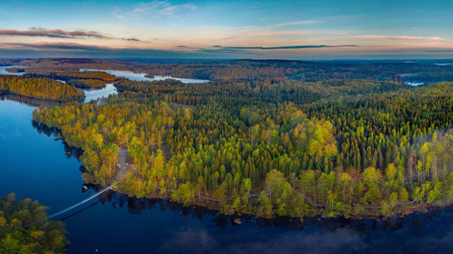 Sveriges vildmark