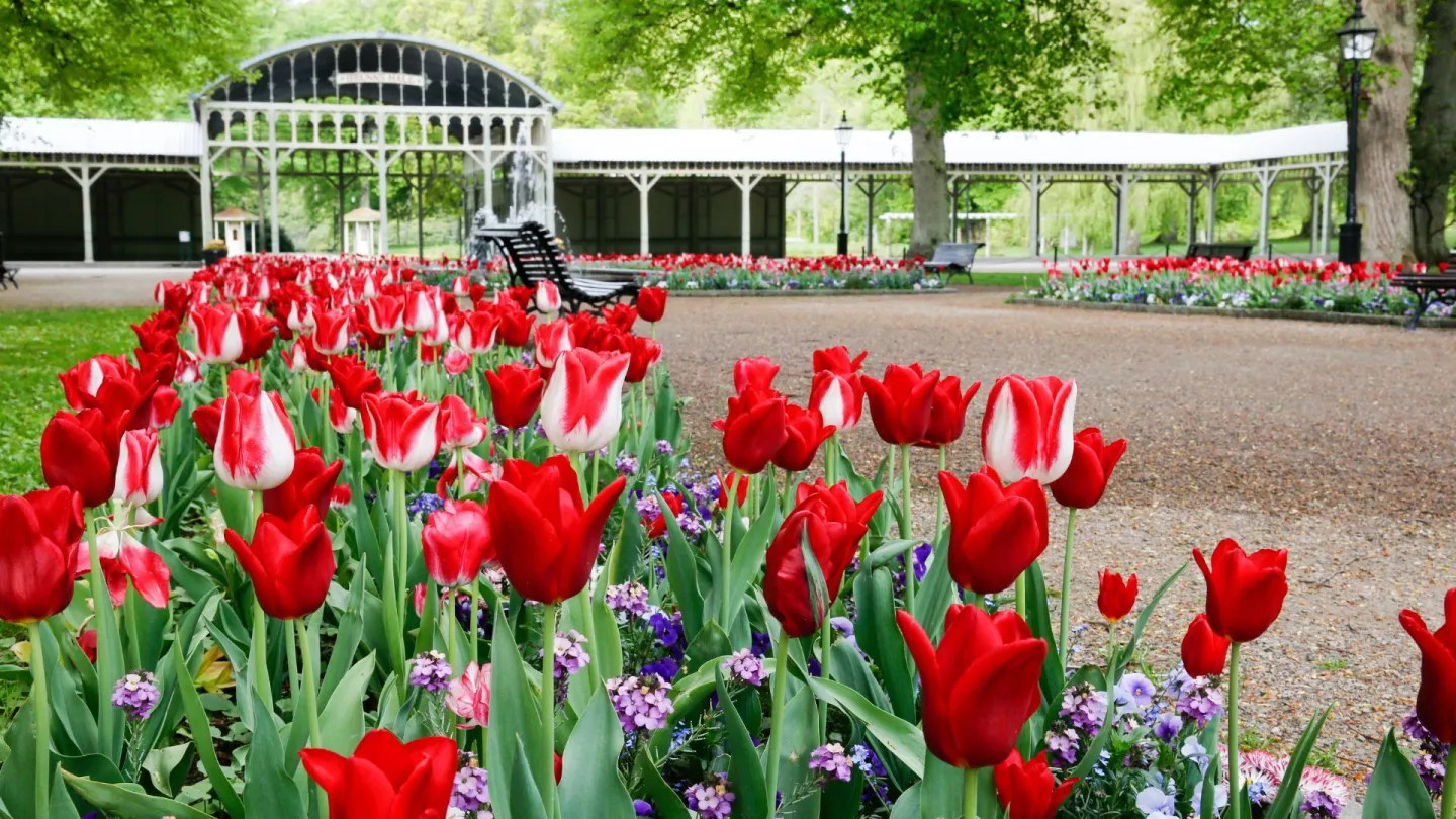 Ronneby Brunnspark